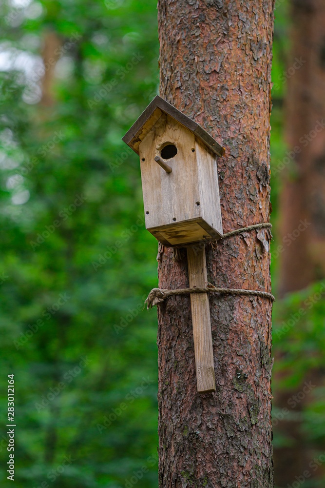 Birdhouse on the pine. House for birds close-up. Birdhouse on the pine. House for birds close-up.