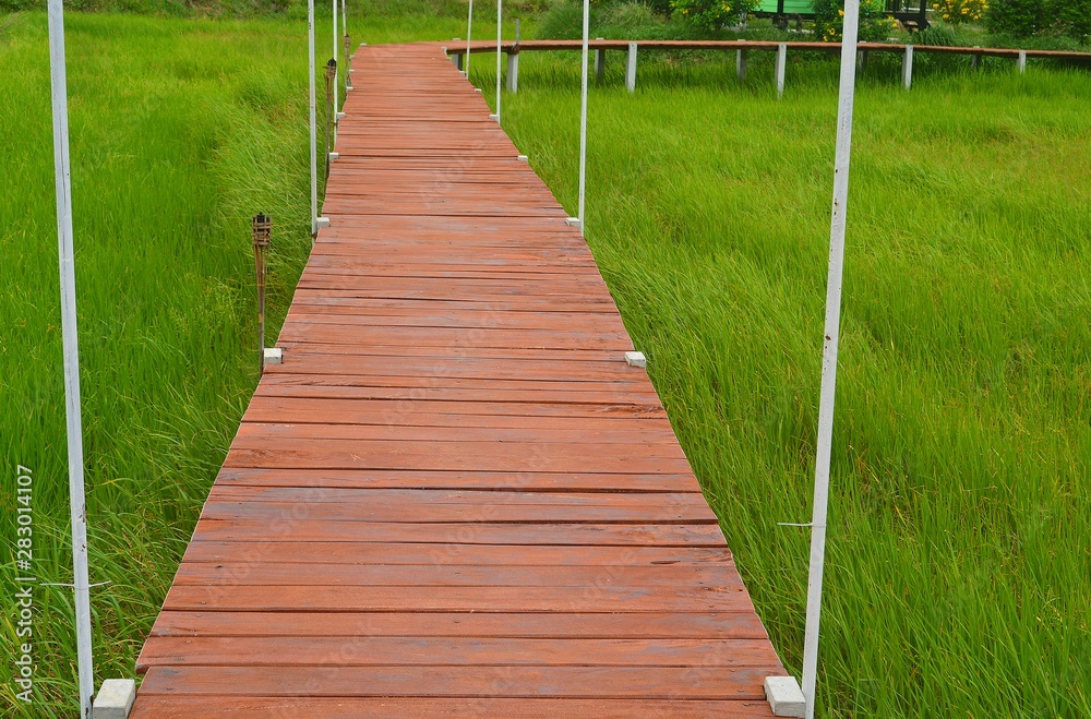Wooden bridge across rice fields Wooden bridge across rice fields