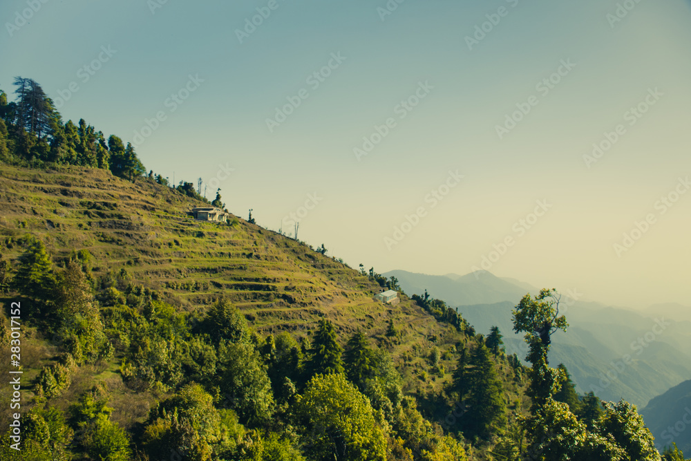 Landscape with mountains and trees in India