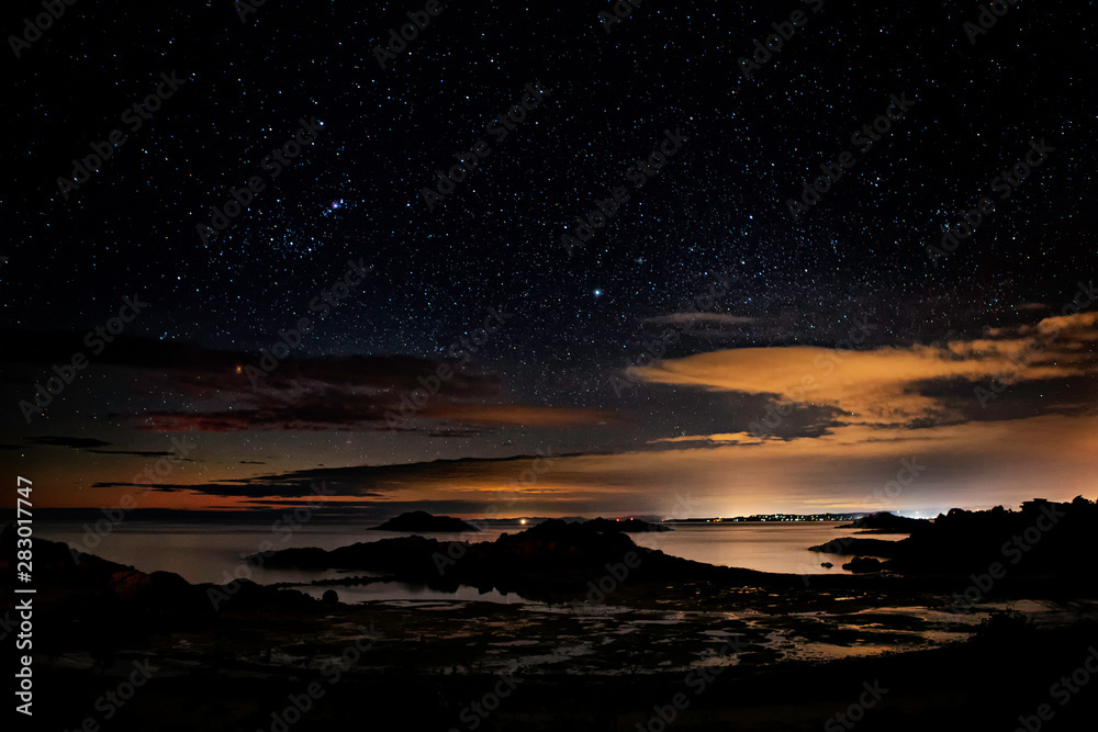 Fototapeta premium Penguin Stars