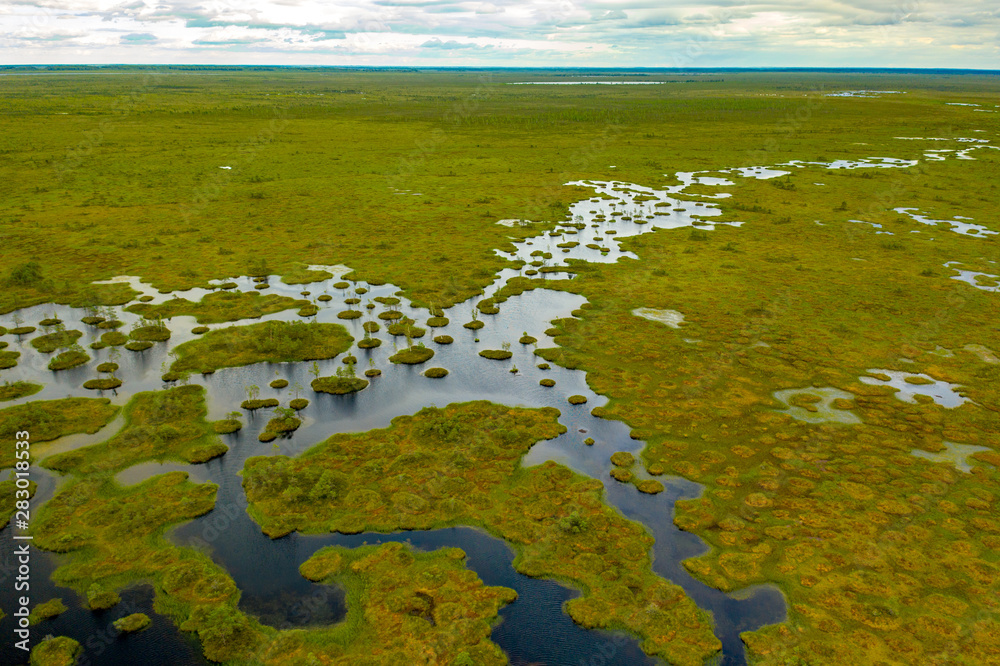 самое большое болото в Беларуси
