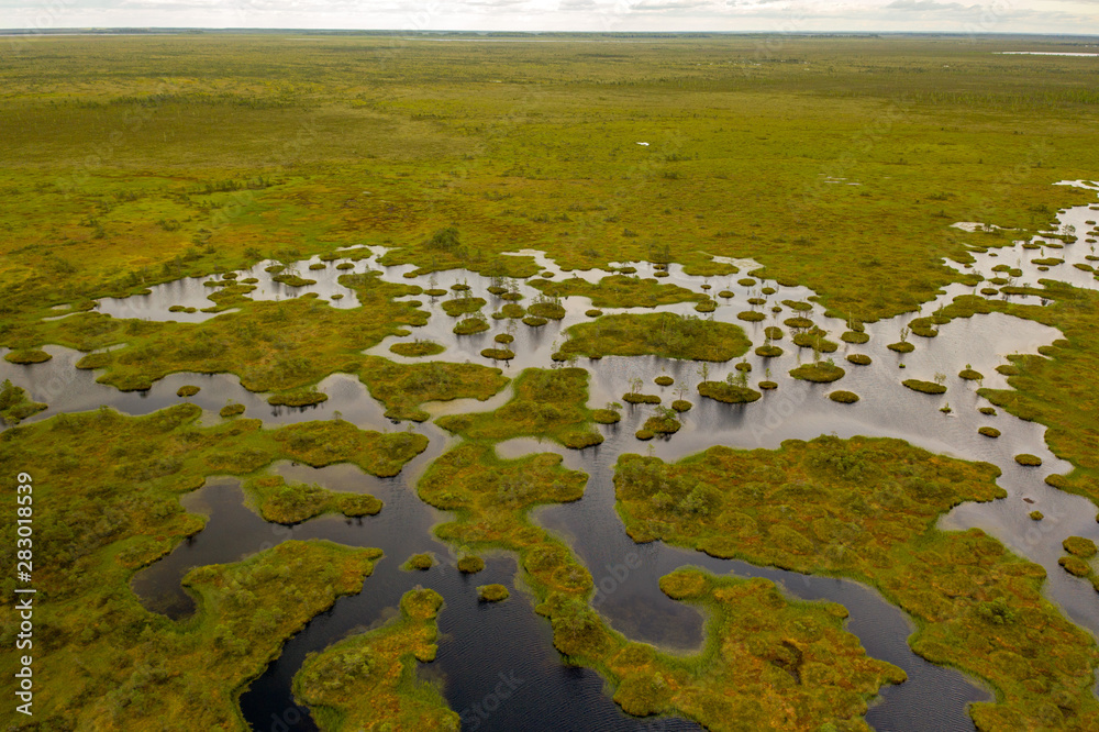 самое большое болото в Беларуси