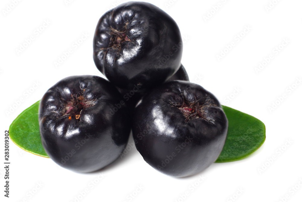 Chokeberry with green leaves isolated on white background. Black aronia Chokeberry with green leaves isolated on white background. Black aronia