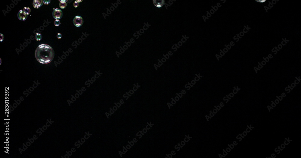 Floating bubbles isolated over a black background Floating bubbles isolated over a black background