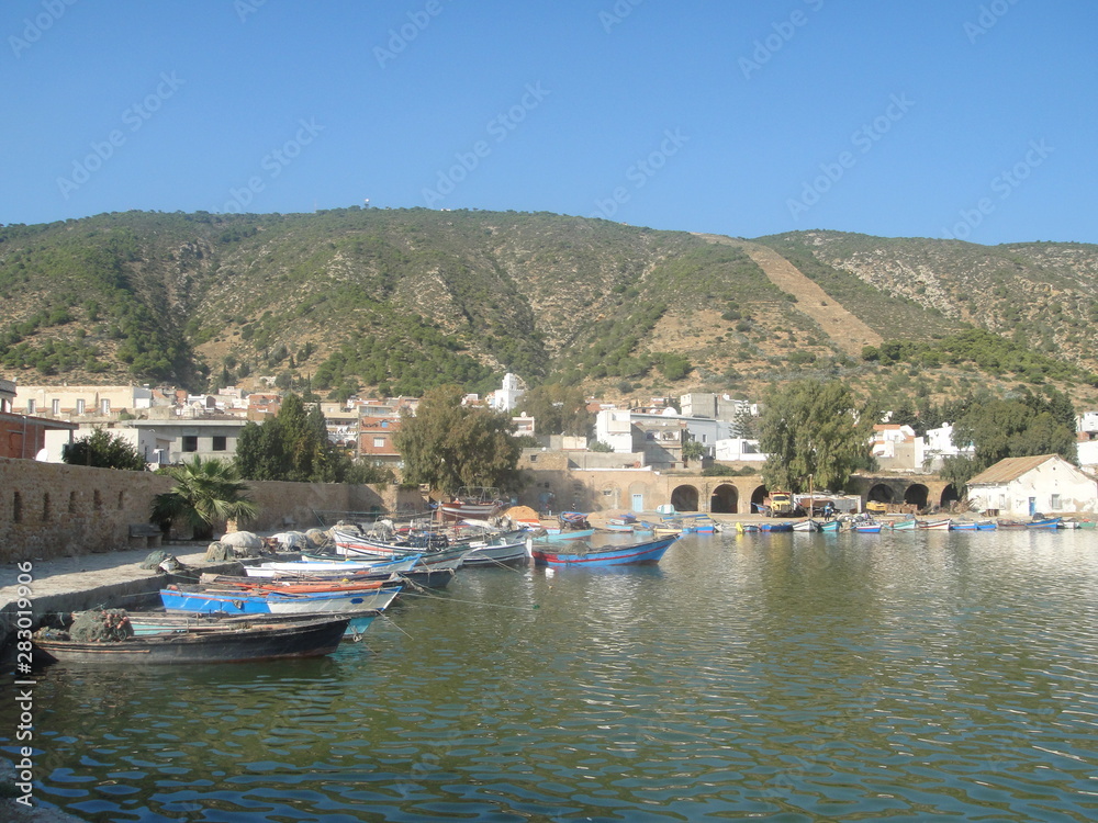 Ghar El-Melh (Tunisia) harbour fishing boats houses and mountain