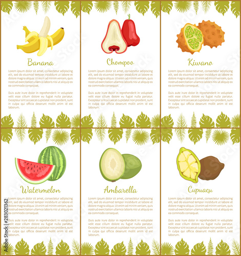 Banana and chompoo poster set with text sample and leaves of tropical plants. Watermelon kiwano and cupuacu, ambarella organic meal vector juicy food