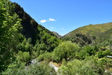 Landscape with mountain and river in Arrowtown, New Zealand
