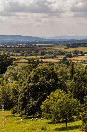 gardens at kiftgate court in the cotswolds england uk