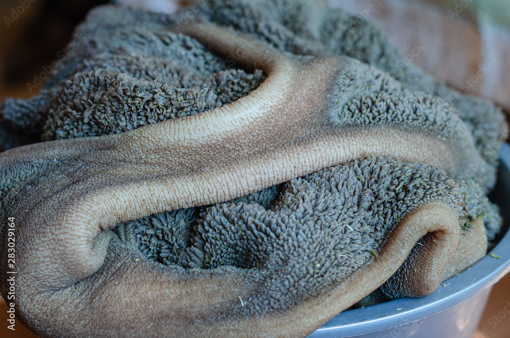Beef tripe clearance raw
