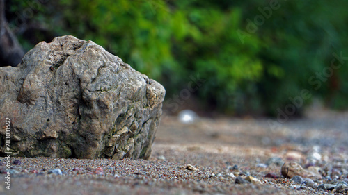Focused on the rock in the beach