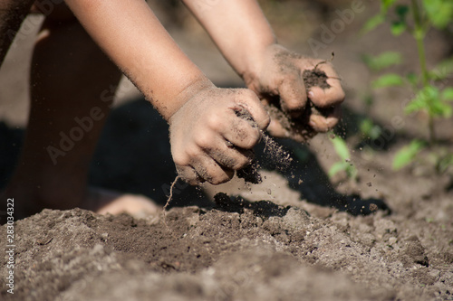 Child hands is grabbing soil in agricultural field