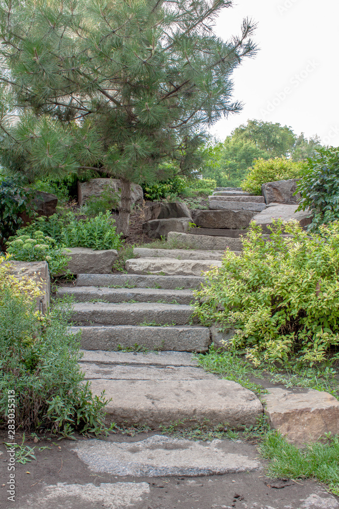 Stone stairs in the park. Rises up among various plants.
