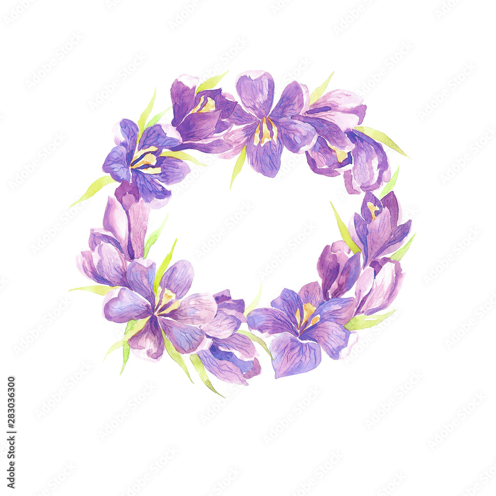 Watercolor frame with violet crocuses. Spring Wedding. Wedding invitation.Watercolor round frame with violet crocuses. Spring Wedding. Wedding invitation