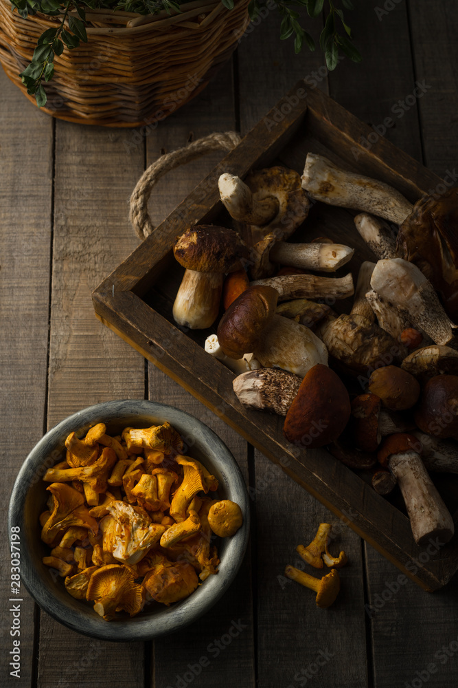 Fresh uncooked forest mushrooms on rustic wooden background, top view, vertical orientation Fresh uncooked forest mushrooms on rustic wooden background, top view, vertical orientation