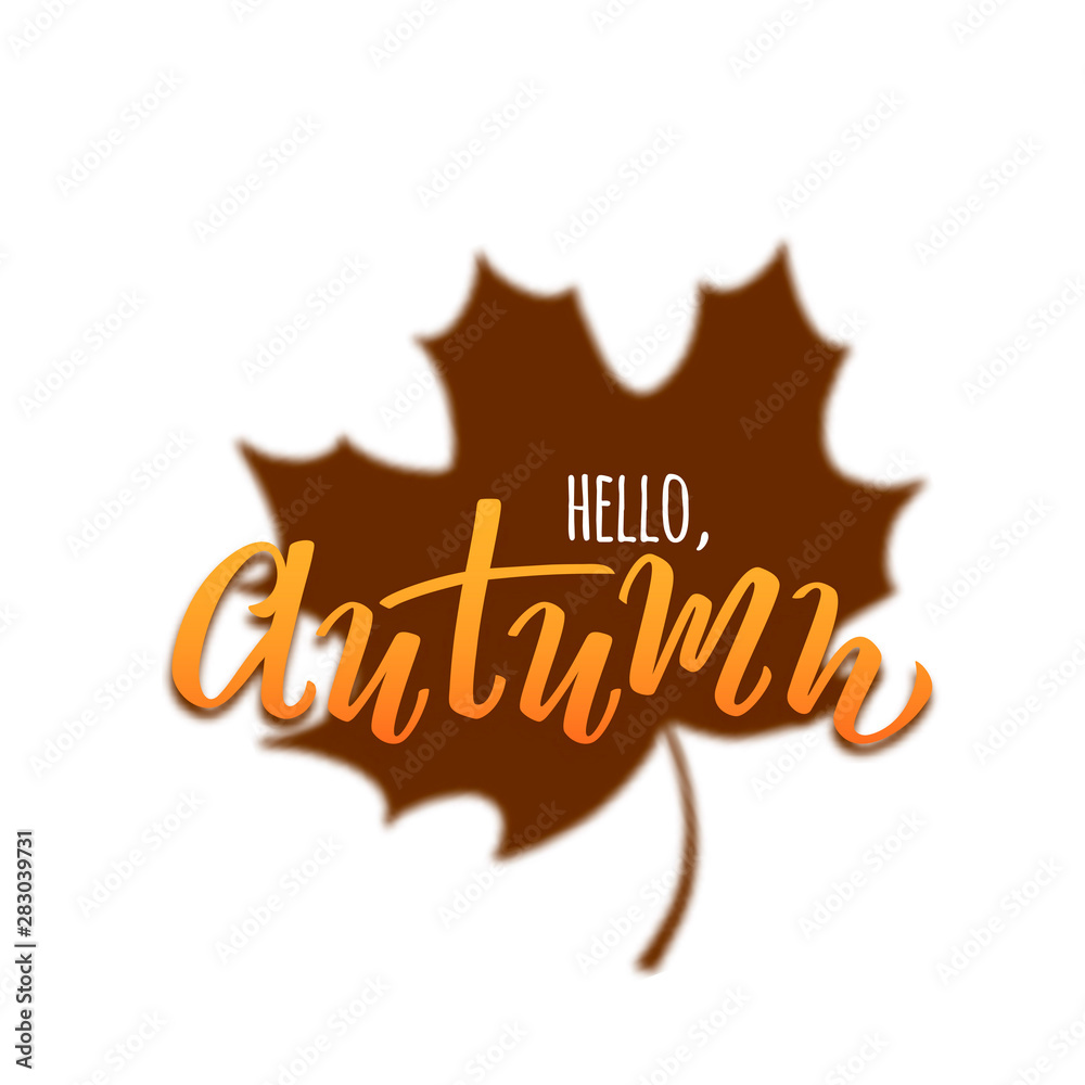 Vector hand drawn text Hello Autumn with maple reflection isolated on white background for seasonal promo and sales, printing, autumn holidays greeting card, invitation, Thanksgiving day design. Vector hand drawn text Hello Autumn with maple reflection isolated on white background for seasonal promo and sales, printing, autumn holidays greeting card, invitation, Thanksgiving day design.