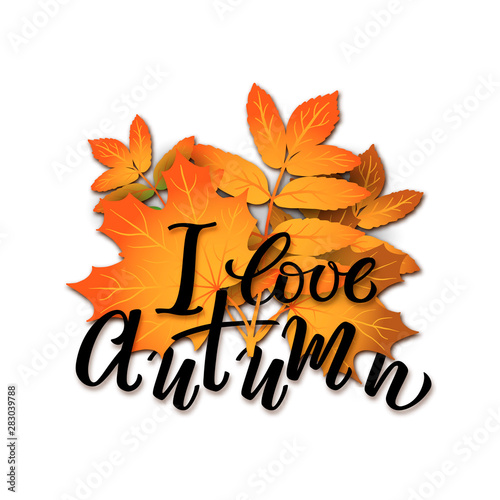 Realistic vector bouquet of autumn leaves - orange maple and rowan tree leaf with hand drawn lettering I love autumn isolated without background for seasonal sales, promo, autumn greeting card. logo