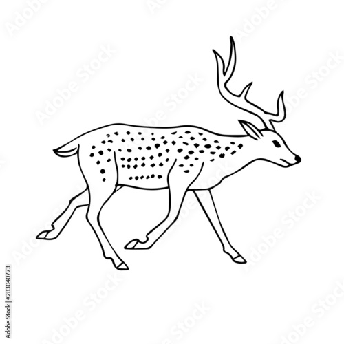 Vector hand drawn doodle sketch deer isolated on white background