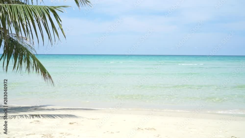 The coconut tree leaves with background with  sea waves on the beach for background