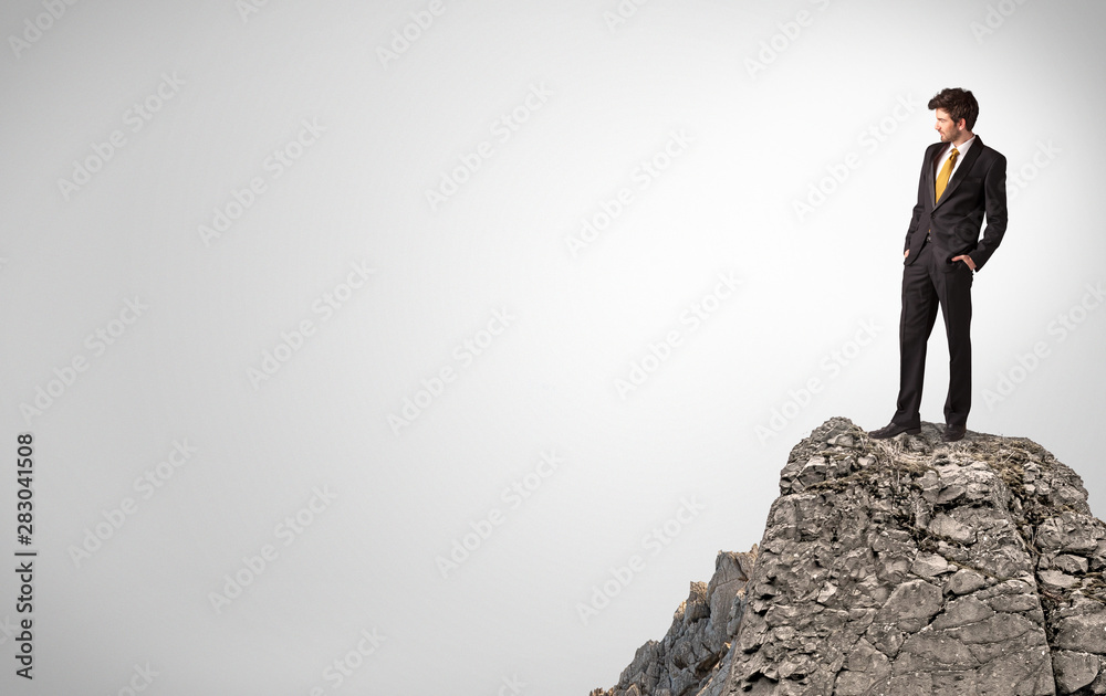 Young business person on the top of the rock with copy space