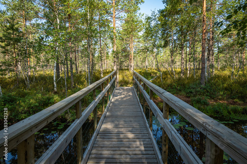 Kurjenrahka National Park. Nature trail. Green forest at summer time. Turku  Finland. Nordic natural landscape. Scandinavian national park.
