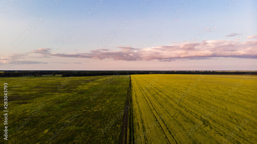 Aerial shot. Beautiful view of the road between two fields stretching over the horizon Aerial shot. Beautiful view of the road between two fields stretching over the horizon
