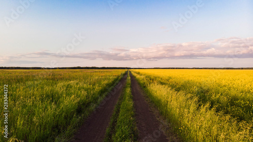 Aerial shot. Country road in flowering field stretching over the horizon