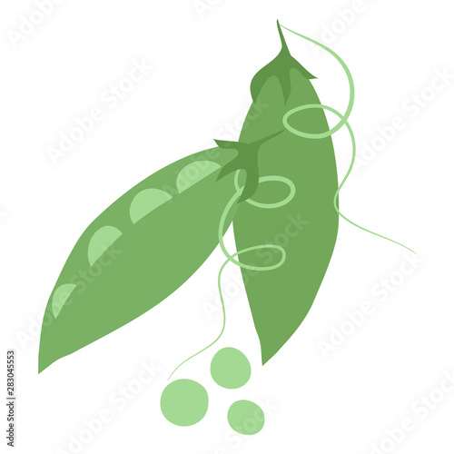 Vector illustration of pea pods, peas and curls