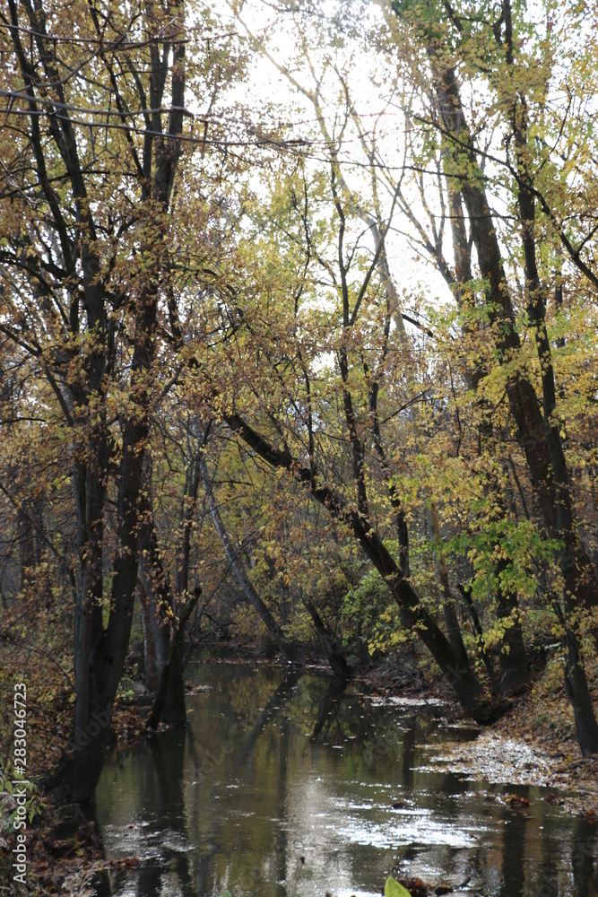 Late fall at Mud Creek Park, Fishers, Indiana Late fall at Mud Creek Park, Fishers, Indiana