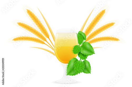 hops and wheat ingredients for making beer vector illustration