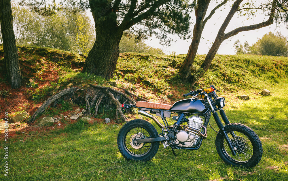 Beautiful vintage custom motorcycle parked in the field