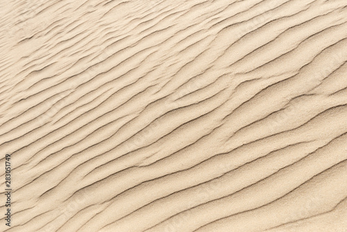 nature background of smooth sand wave texture