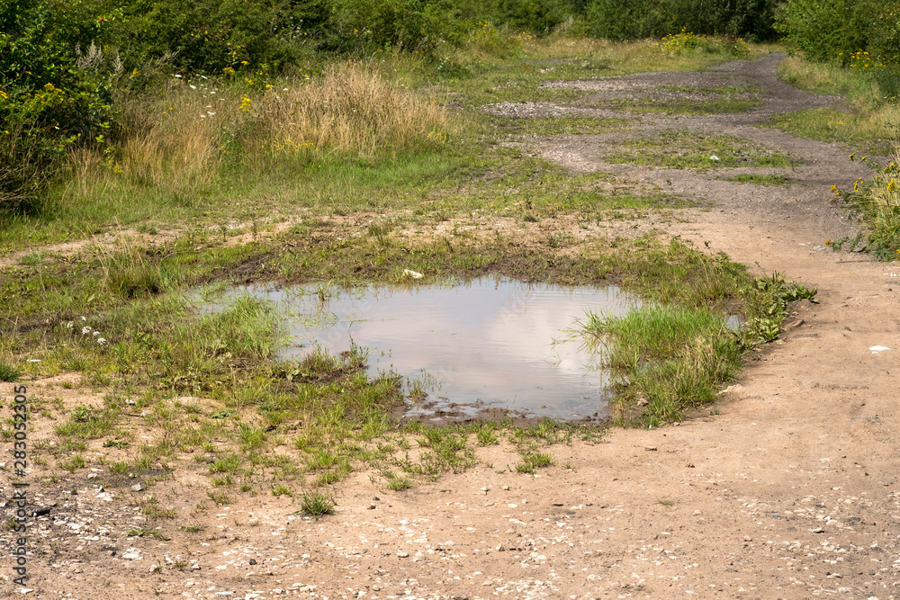 Large puddle on a dry dirt track Large puddle on a dry dirt track