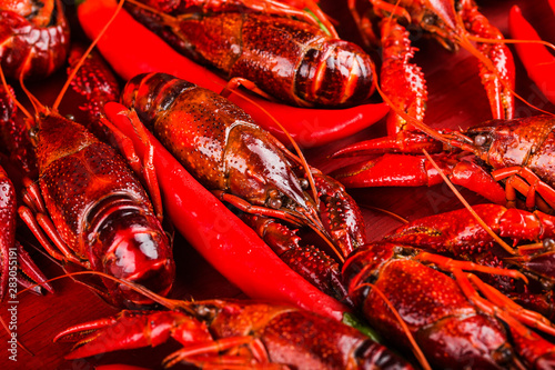 Fresh cooked crayfish in ice cubes photo