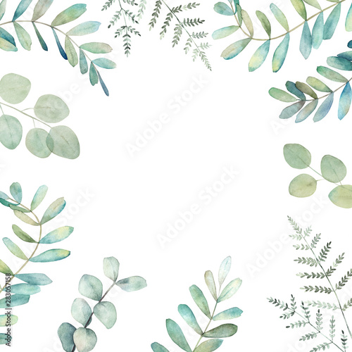 Greenery floral card with eucalyptus and fern  branches . Watercolor botanica...