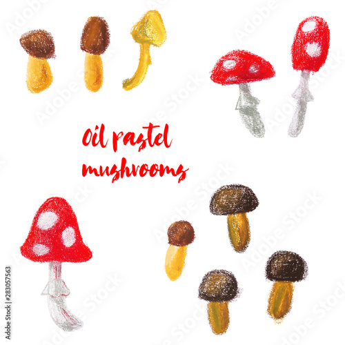 Oil pastel illustration. Set of Mushrooms isolated on white background