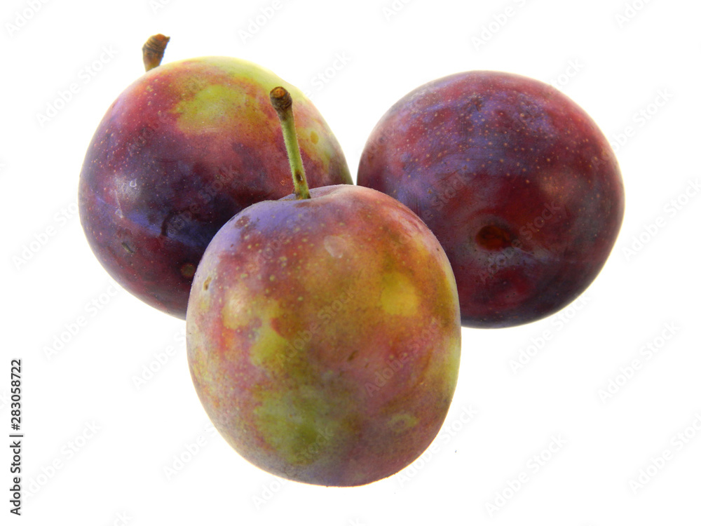 Obraz premium plum isolated on white background