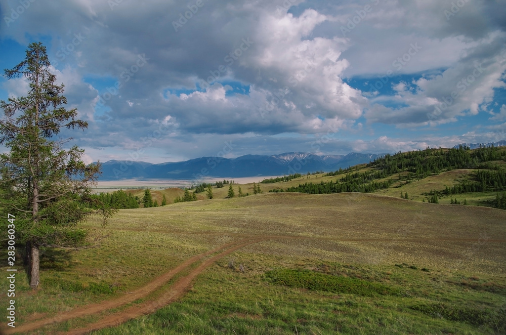 Beautiful evening summer landscape of Altai. Empty dirt road. Nature and travel. Russia, Siberia Beautiful evening summer landscape of Altai. Empty dirt road. Nature and travel. Russia, Siberia