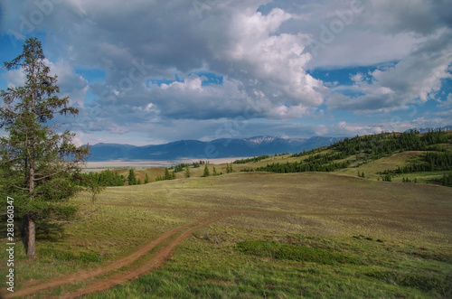 Beautiful evening summer landscape of Altai. Empty dirt road. Nature and travel. Russia  Siberia