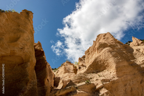 Lame Rosse