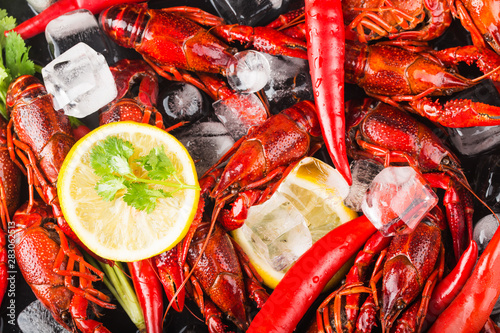 Fresh cooked crayfish in ice cubes