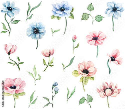 Watercolor hand drawn floral elements