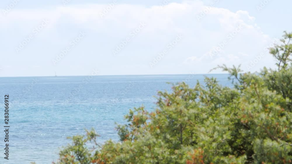 Rack Focus from bush to ocean. Mediterranean vegetation ecosystems to seascape. Ocean sea horizon landscape, sunny day, outdoor daylights. Rack Focus from bush to ocean. Mediterranean vegetation ecosystems to seascape. Ocean sea horizon landscape, sunny day, outdoor daylights.