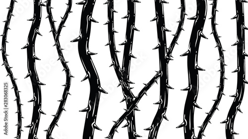 Black thorns background photo