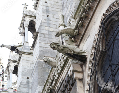 Detail of GARGOYLE in notre dame Basilica in Paris France
