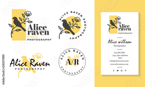 Feminine logo collections template premium vector