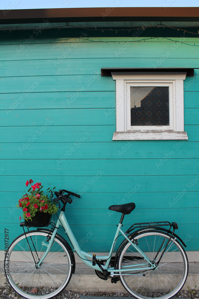 bicycle in front of wooden wall