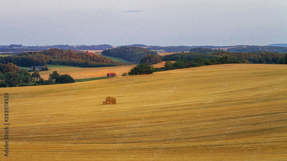 Obraz premium Blick über einen Acker am Abend