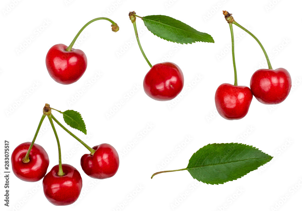 Red cherry isolated on white background. Top view