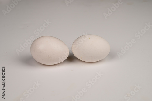 Chicken egg on white background. Not isolate