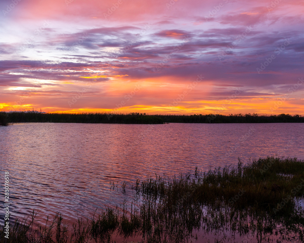 Obraz premium South Florida sunset at a nature preserve with blue, pink and orange sky